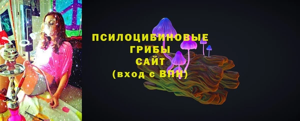 прущая мука Богданович