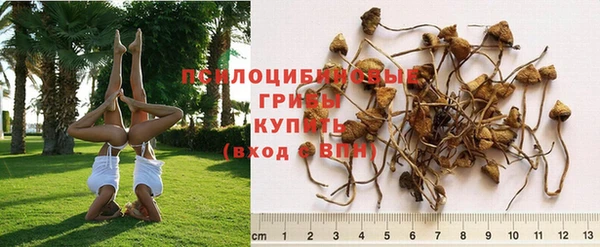 jwh Богородицк