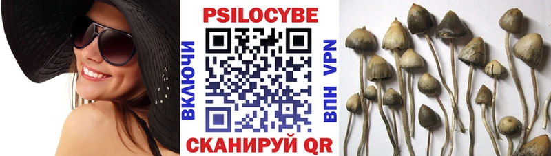 Псилоцибиновые грибы Magic Shrooms Елизаветинская