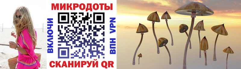 Псилоцибиновые грибы Magic Shrooms  наркошоп  omg tor  Елизаветинская 
